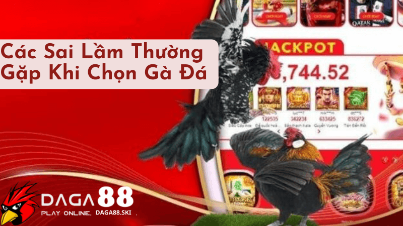 Các Sai Lầm Thường Gặp Khi Chọn Gà Đá